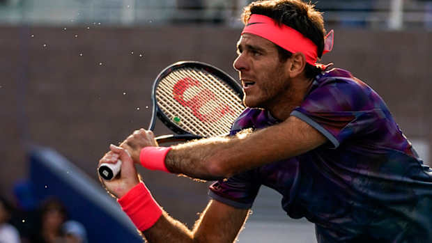 juan-martin-del-potro-us-open-price.jpg